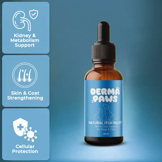 DermaPaws – Veterinarian-Recommended Drops for Cats