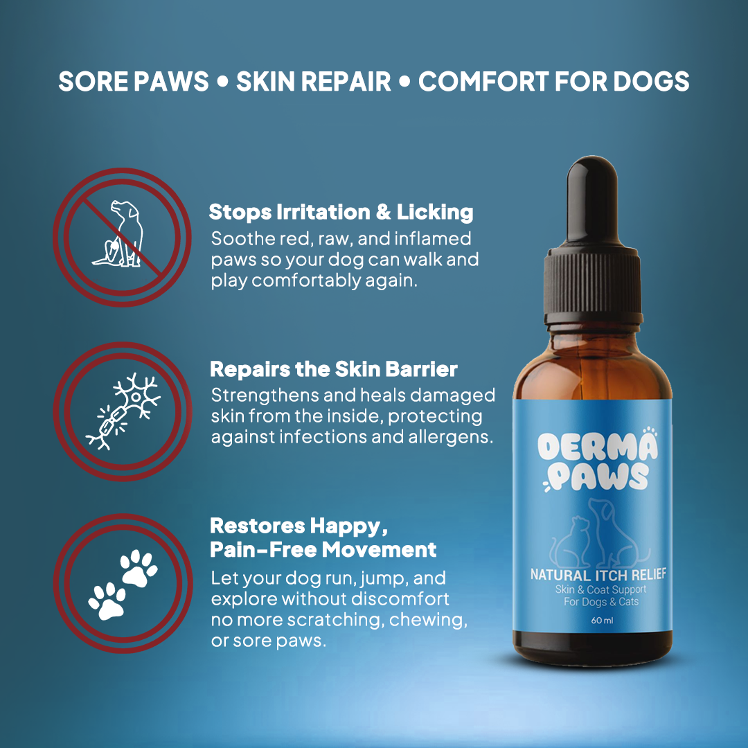 DermaPaws - Vet-Recommended Itch Relief Drops