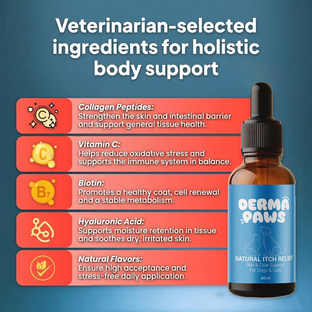 DermaPaws – Veterinarian-Recommended Drops for Cats