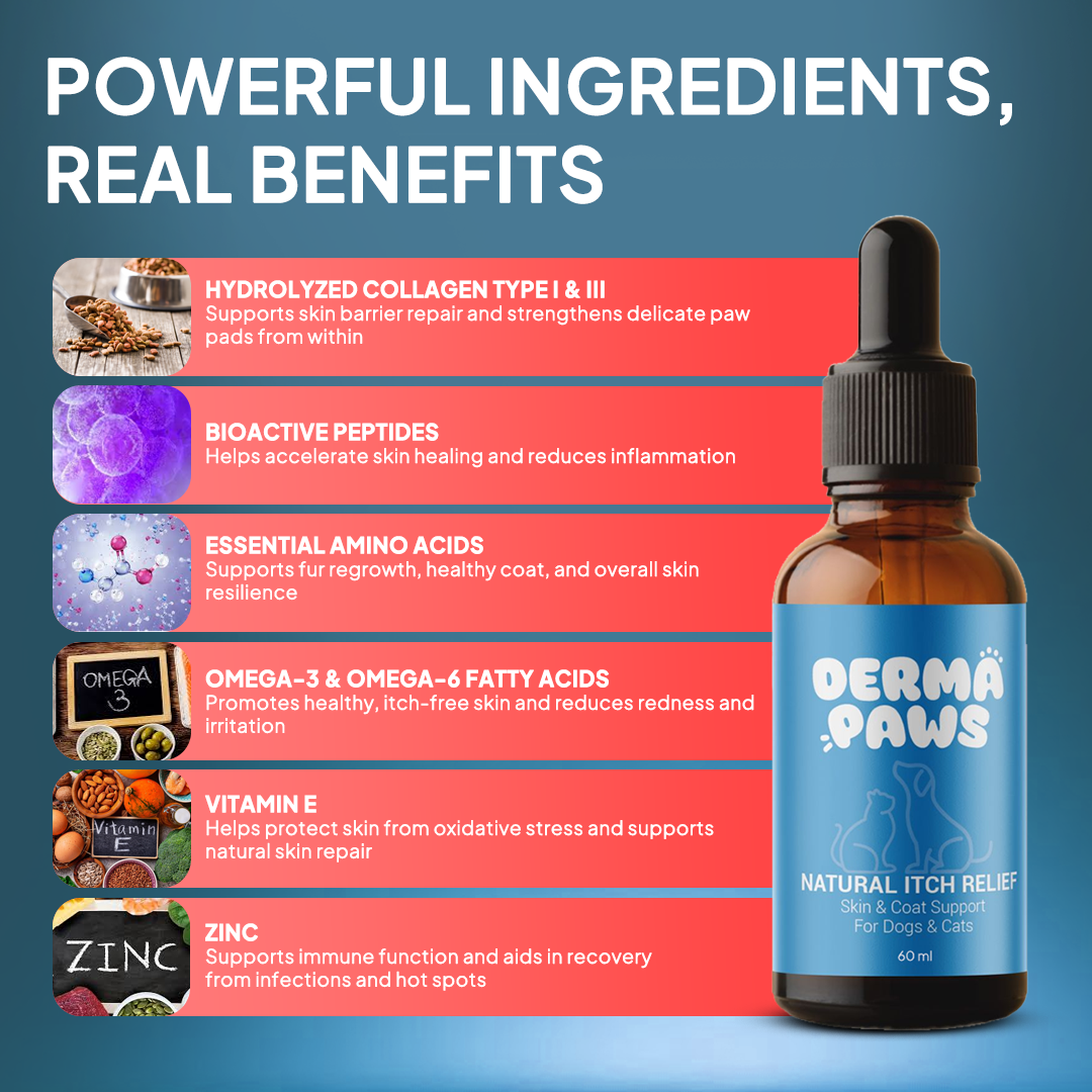 DermaPaws - Vet-Recommended Itch Relief Drops