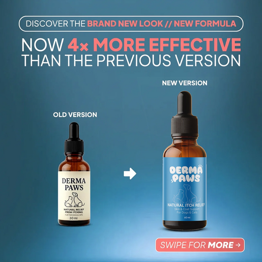 DermaPaws – Veterinarian-Recommended Drops for Cats