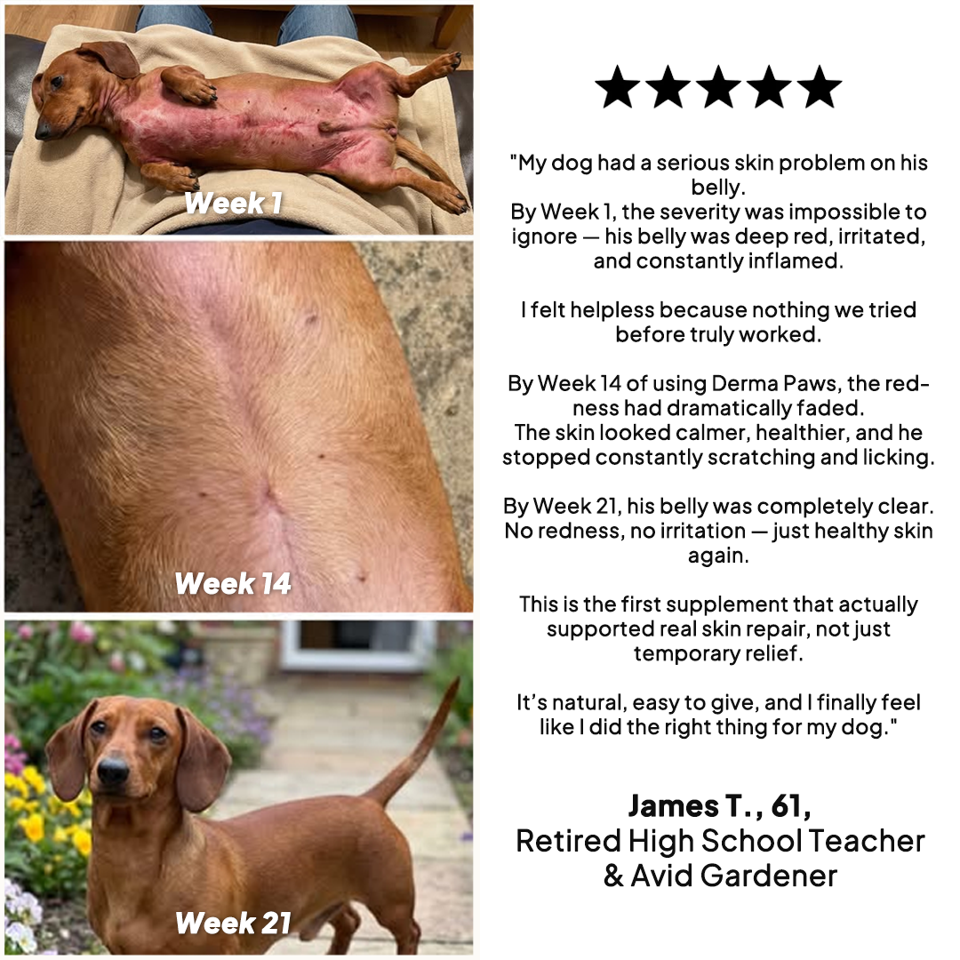 DermaPaws - Vet-Recommended Itch Relief Drops
